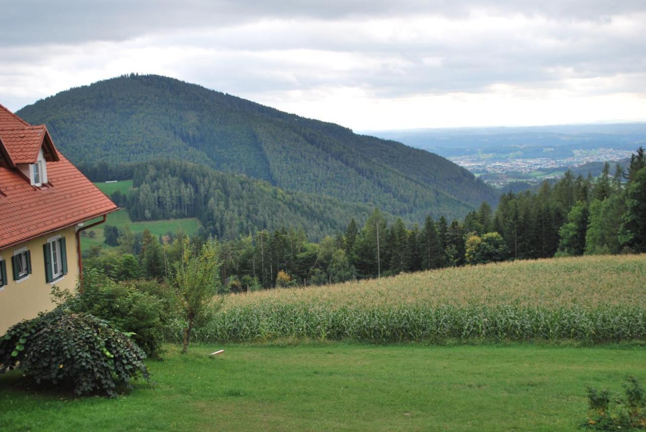 Appartamento Ferienhuette Zetzhirsch Weiz Esterno foto